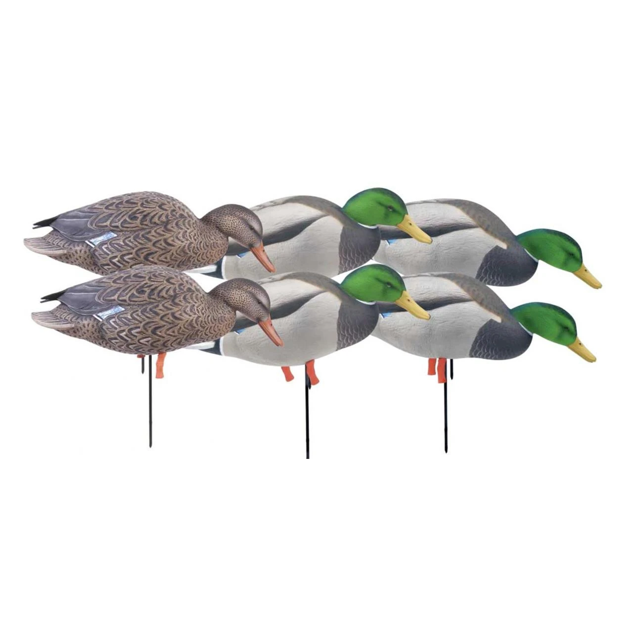 Avery GHG Pro Grade Mallard Feeder Full Body Duck Decoys- 6pk Flocked Drake Heads - 72215 1 Avery GHG Pro Grade Mallard Feeder Full Body Duck Decoys- 6pk Flocked Drake Heads - 72215
