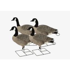 Avery Pro Grade XD Canada Full Body Decoys- 4pk- Actives