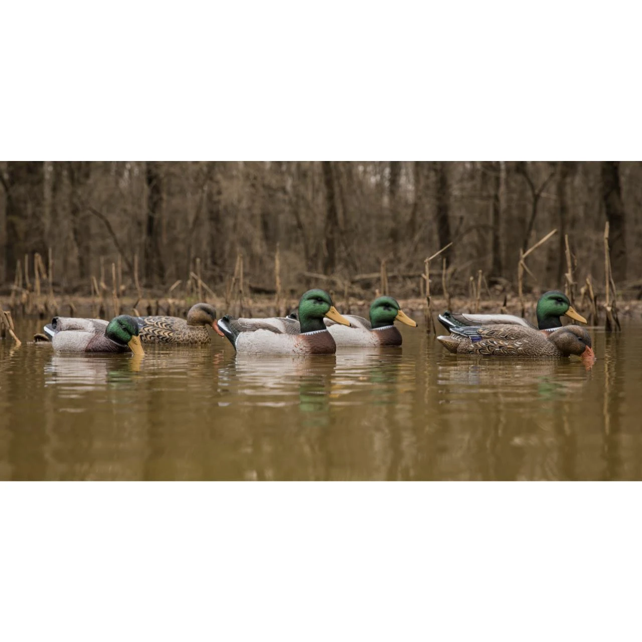 Higdon Magnum Foam Filled Mallard Duck Floater Decoys- 6pk - 17073 1 Higdon Magnum Foam Filled Mallard Duck Floater Decoys- 6pk - 17073