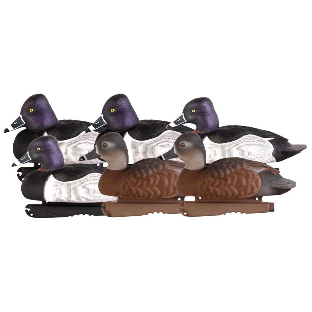 Avery GHG Pro Grade Ringneck Duck Floater Decoys - 6pk-77133 1 Avery GHG Pro Grade Ringneck Duck Floater Decoys - 6pk-77133