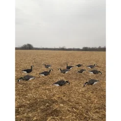 Top Down Vertical Silhouette Canada Goose Decoys - 1doz